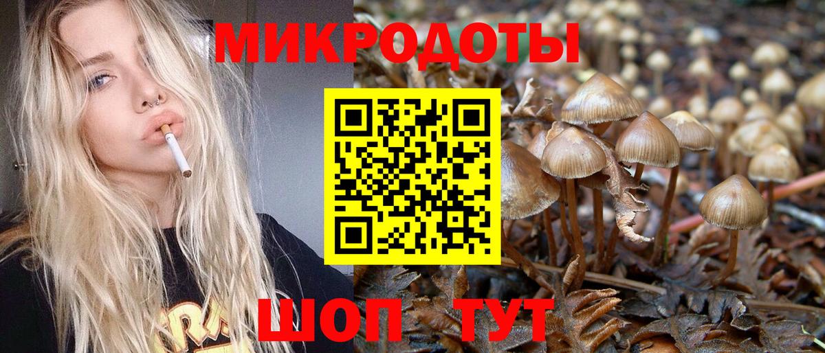 Галлюциногенные грибы GOLDEN TEACHER Асино